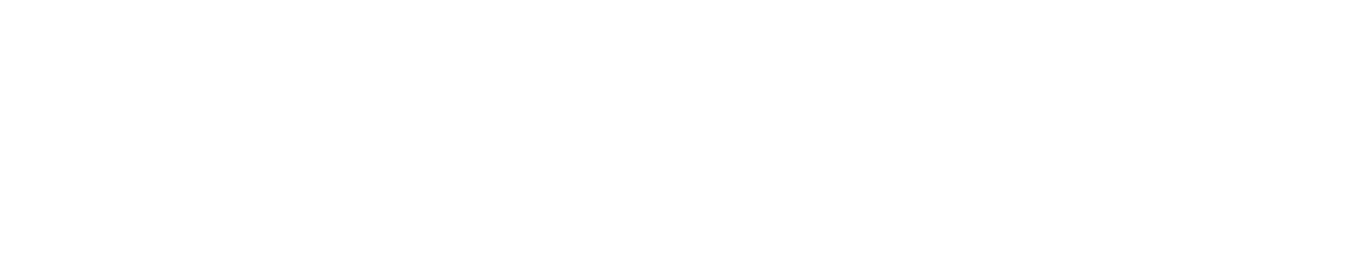 Dropship